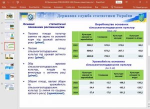 Круглий стіл за темою «Офіційна статистика: від звіту до візуалізації даних»
