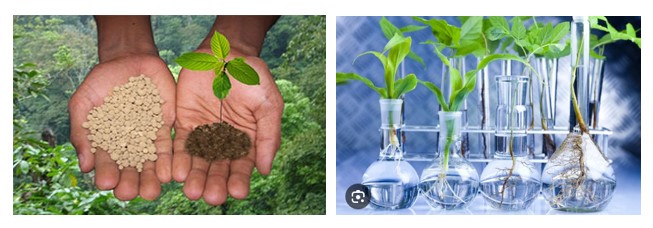 Круглий стіл агробіотехнологічного  факультету "Хімія в агрономії: сучасні виклики та рішення"