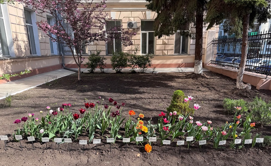 ДО ДНЯ ЗАХИСНИКІВ І ЗАХИСНИЦЬ УКРАЇНИ