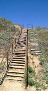 В Україні реалізовано ключові етапи активності 1.1 міжнародного проєкту MoreAdaptBSB