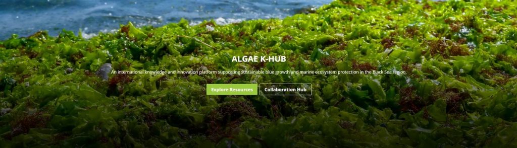 ALGAE K-HUB ЗАПУЩЕНО: Одеський державний аграрний університет запрошує всіх зацікавлених долучитися до нової платформи знань Чорноморського регіону