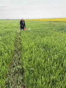 БІОЛОГІЗАЦІЯ АГРОТЕХНОЛОГІЙ